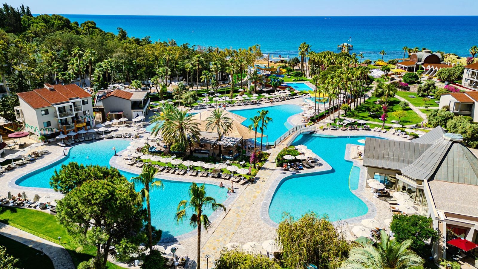 Arum Barut Collection