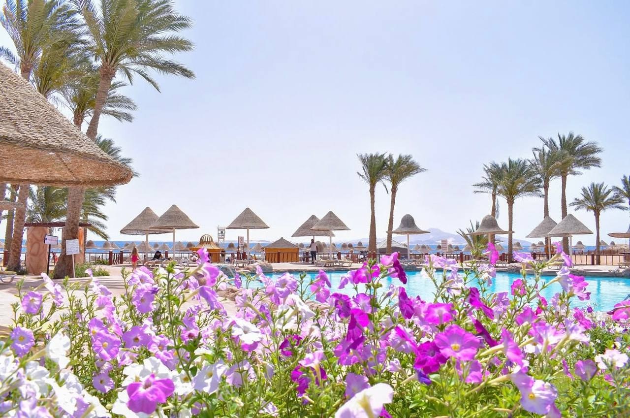 Parrotel Beach Resort