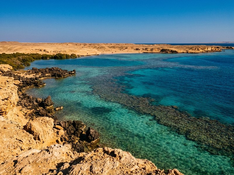 Вода +29