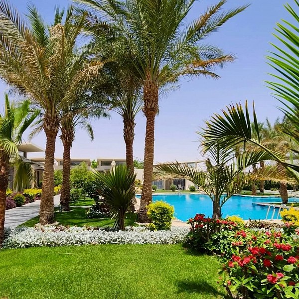 Rixos Premium Magawish Suites & Villas, фото 8