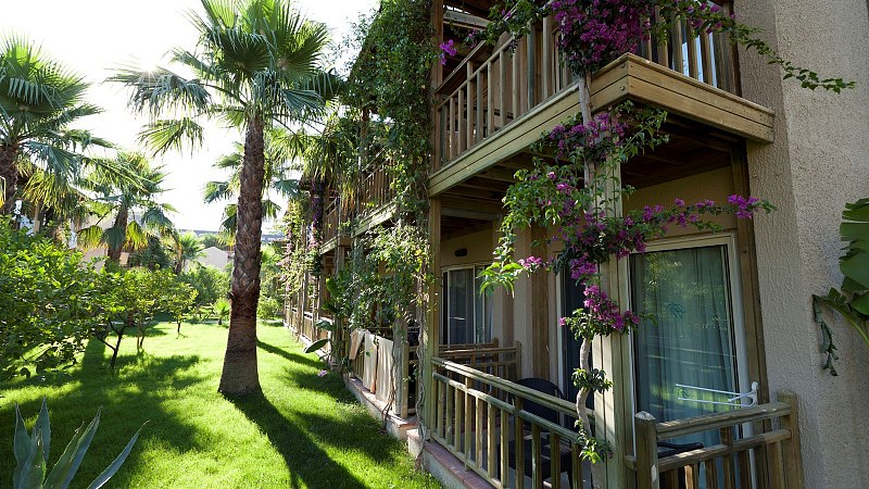 Paloma Oceana, фото 4