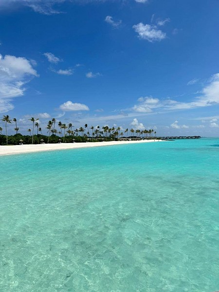 Joy Island, фото 3