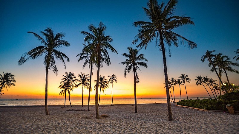 Pullman Phu Quoc Beach Resort, фото 4