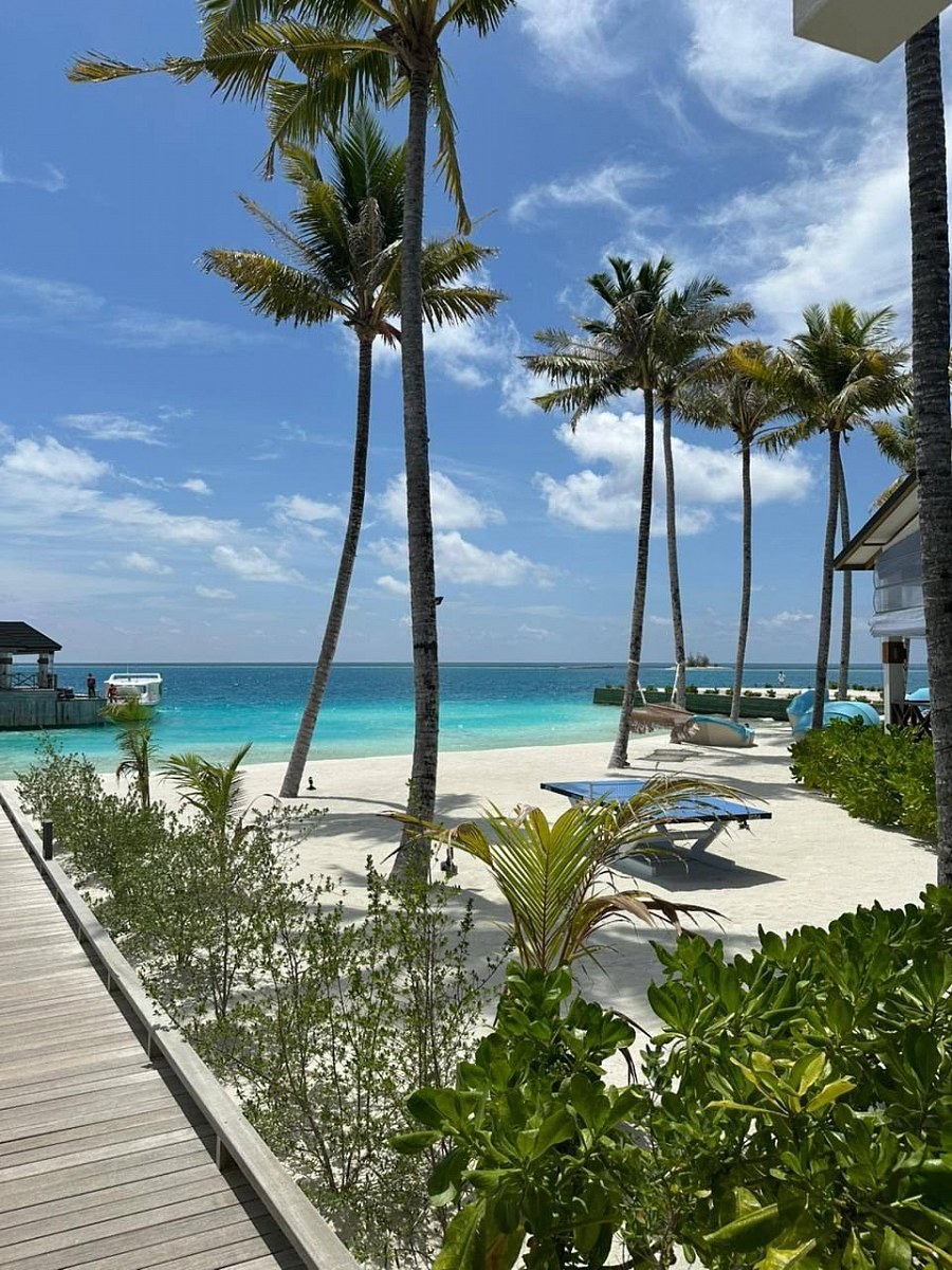 Joy Island