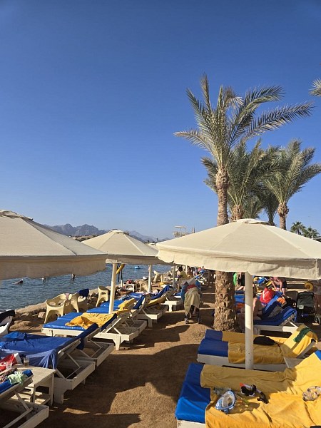 Pickalbatros Aqua Blu Resort, фото 4