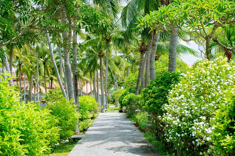 Muine de Century Beach Resort & Spa, фото 3