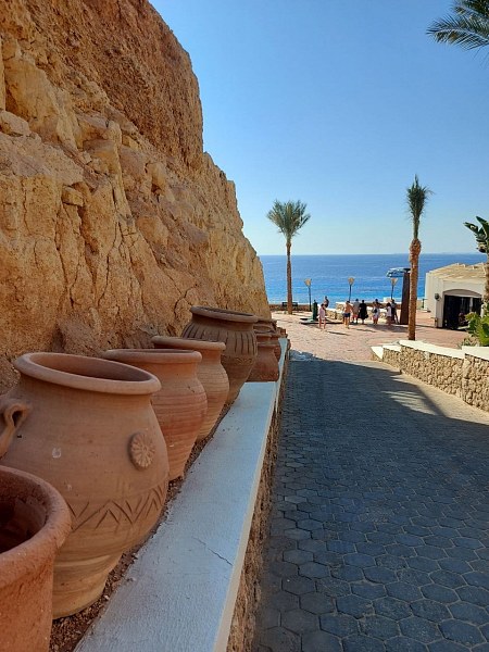 Sentido Reef Oasis Senses Resort, фото 3