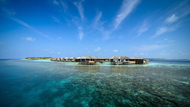 Lily Beach Resort & Spa, фото 5