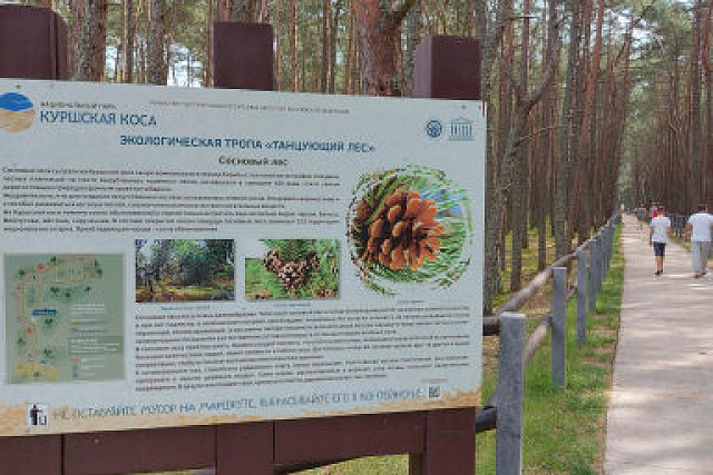 Экскурсия на Куршскую косу и в г. Зеленоградск