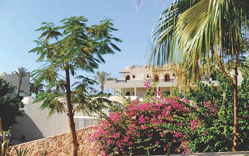 Reef Oasis Beach Resort, фото 5