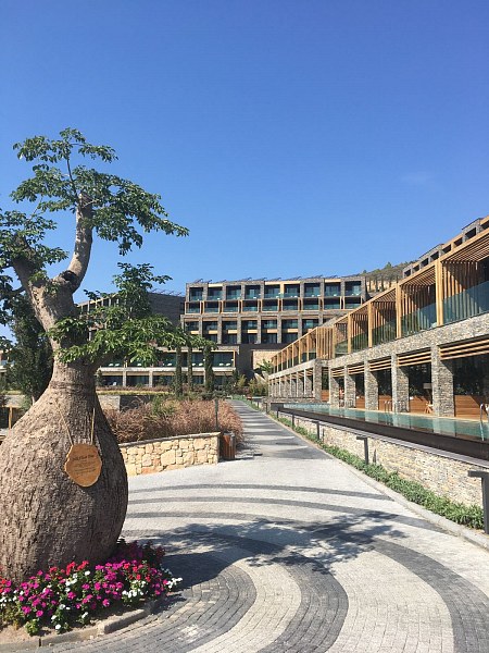 Lujo Hotel Bodrum, фото 11