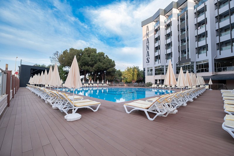 Ananas Hotel, фото 2