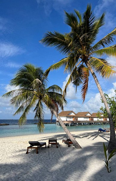 Bandos Maldives, фото 2