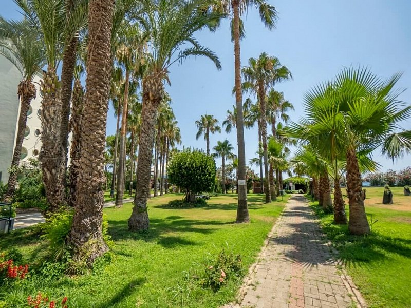 Mc Beach Resort, фото 5