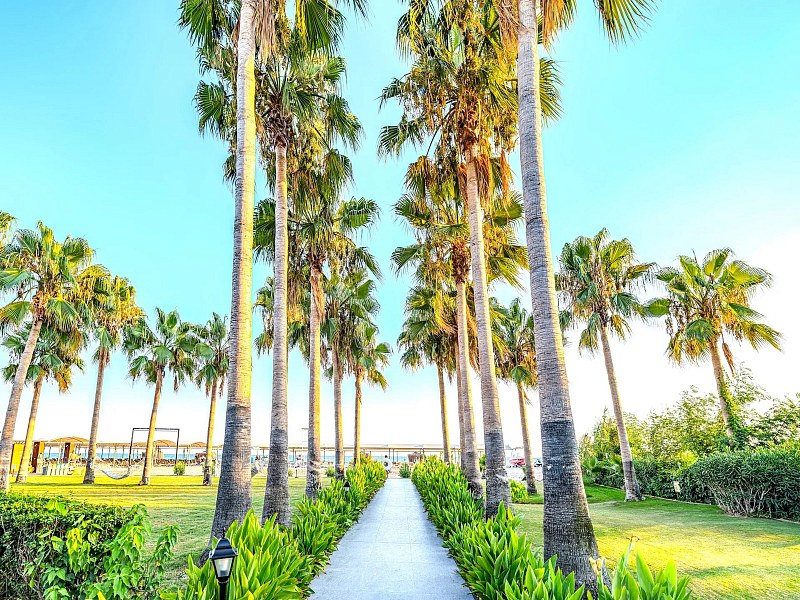 Washington Resort & Spa, фото 6