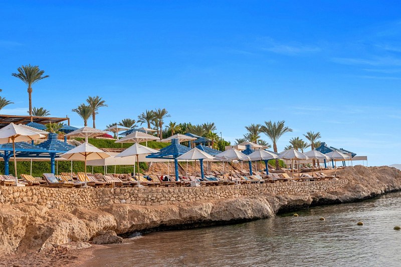 Grand Oasis Resort, фото 4