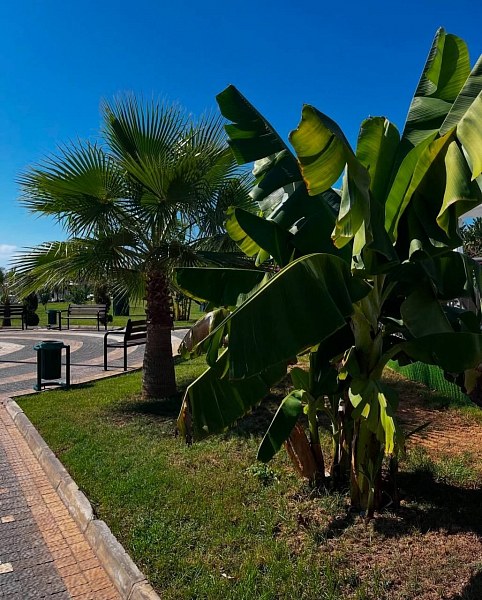 Lonicera World Resort & Spa Hotel, фото 6