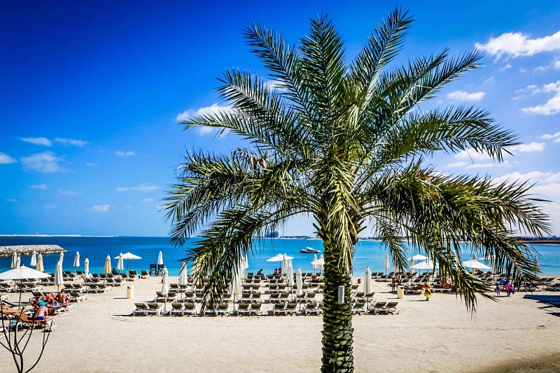 Rixos Bab Al Bahr, фото 4