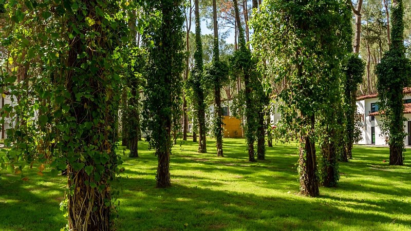 Baia Salima Kemer, фото 2