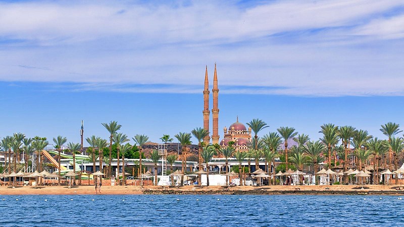 Albatros Sharm Resort, фото 6