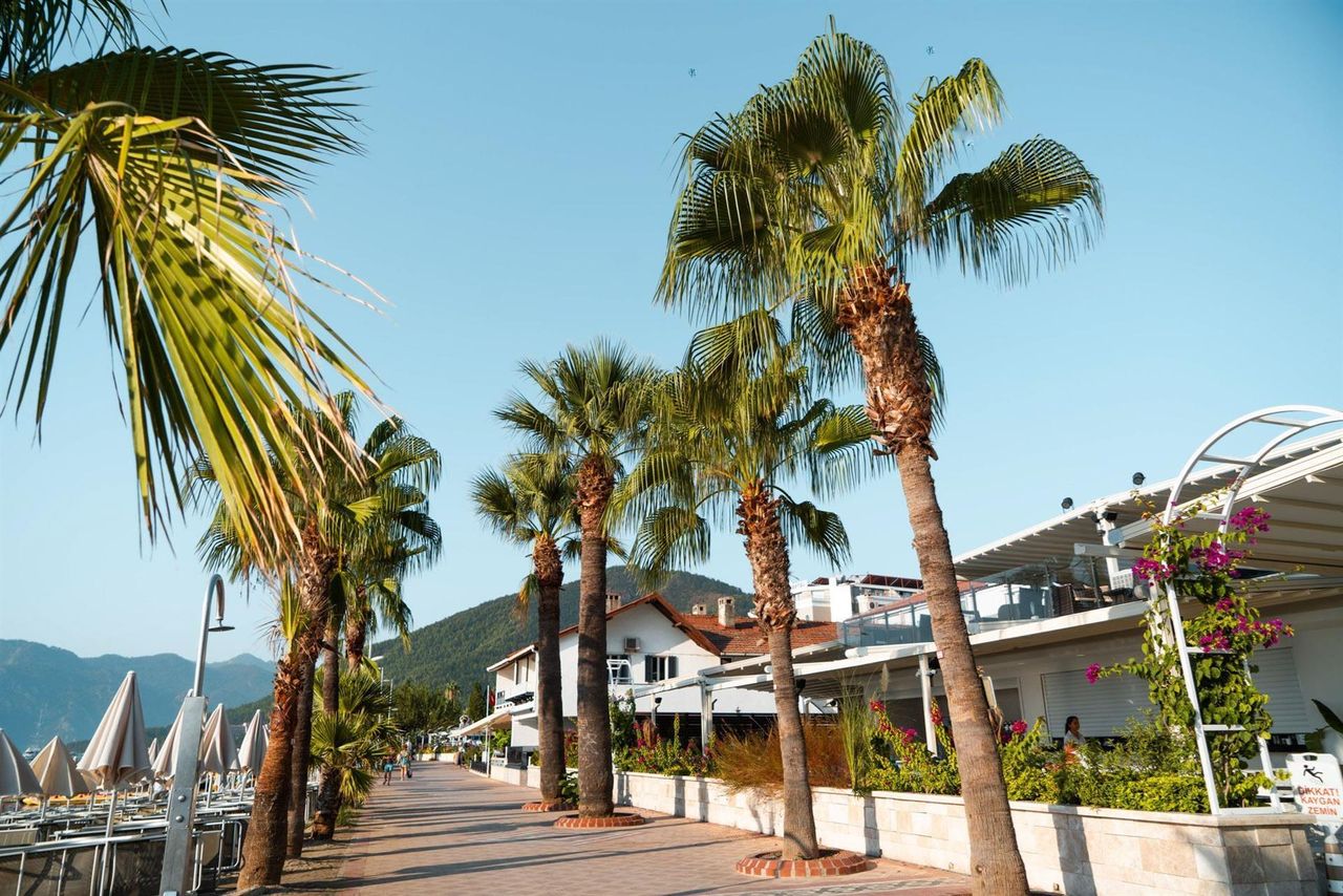 Emre Beach Hotel — фото 6