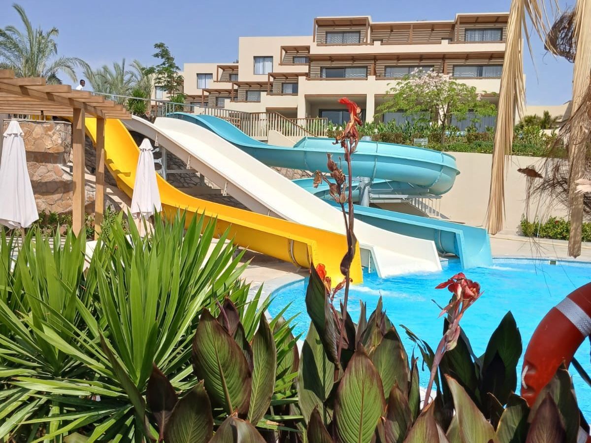 Jaz Costa Mares (ex. Iberotel Costa Mares) — фото 5